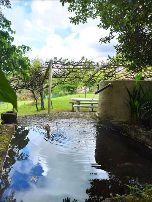 A Vina De Lina. Turismo Rural Con Piscina Y Finca. Villa Pontevedra Bagian luar foto