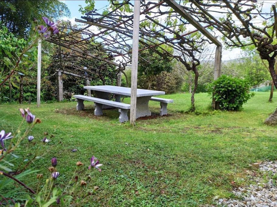 A Vina De Lina. Turismo Rural Con Piscina Y Finca. Villa Pontevedra Bagian luar foto